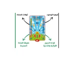 Interactive Educational Prayer Mat - صورة 6