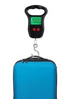 electronic portable scale