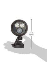 Night Hawk - Image 6