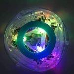 party in the tub light