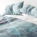 Cordless Mini Mite Cleaner - صورة 6