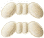 Heel Guards Cushion with Anti-Slip Beads - Image 5