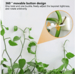 Plant Climbing Wall Clip Invisible - صورة 4