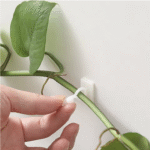 Plant Climbing Wall Clip Invisible - صورة 12