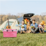 Premium Insulated Thermal Lunch Tote - صورة 3