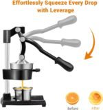 Hand Press Juicer - Image 2