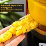 Slow Juicer - Image 2