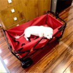 Amazing cart multi-use - Image 5