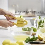 Lemon Squeezer - Image 11
