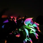 LED Night Light Sunset Sunlight Projection - صورة 3
