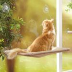 Sunny Spot Cat Hammock - Ultimate Window Perch Bed